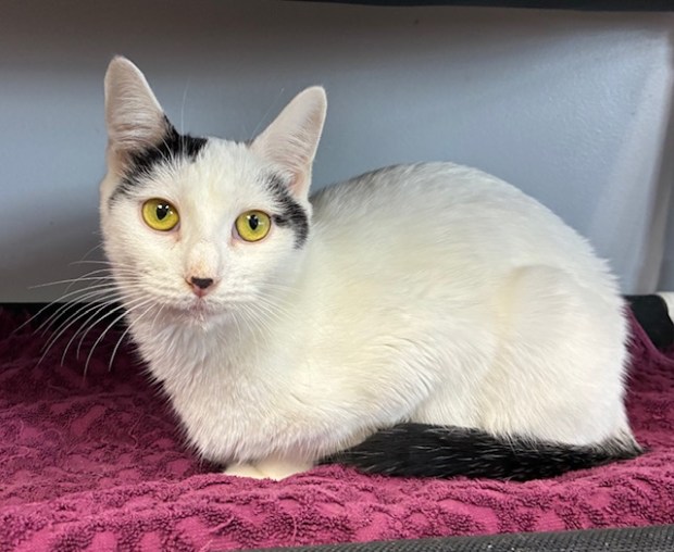 Blaire (Sanctuary at Haafsville)