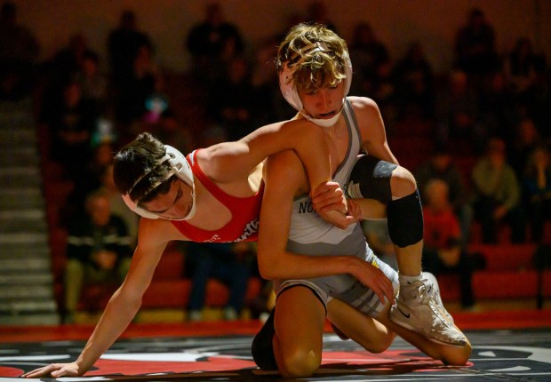 Saucon Valley's Dominic D'Ambola wrestles Northwestern Lehigh's Logan Heeps in the 107-pound weight class Wednesday, Jan. 14, 2026, at Saucon Valley High School gym. (April Gamiz/The Morning Call)