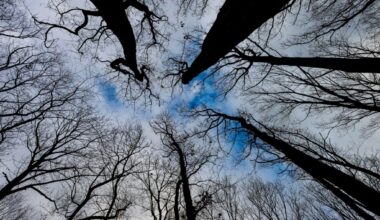 Take a winter hike on these Lehigh Valley trails