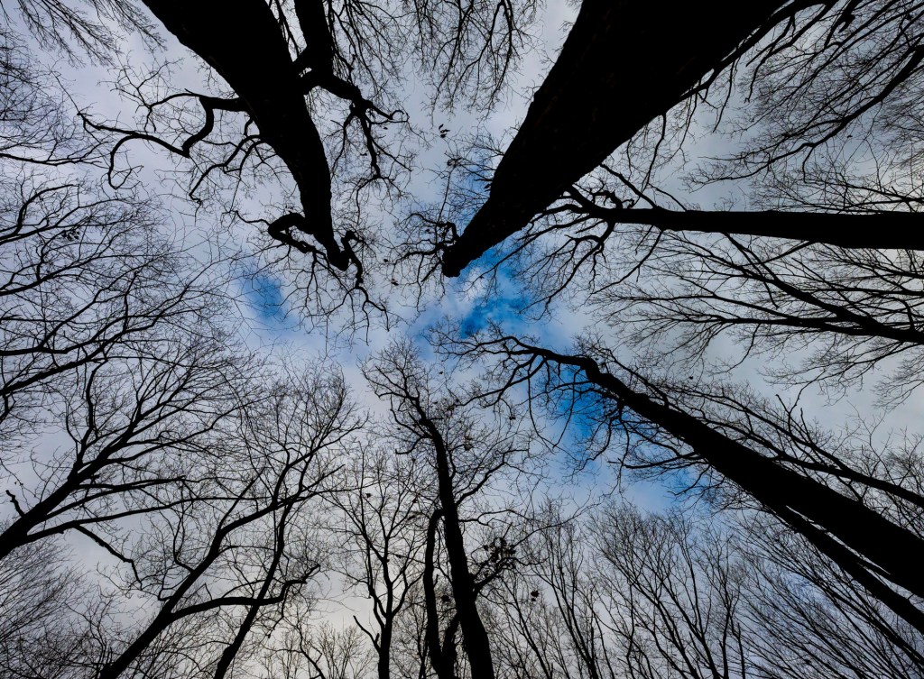 Take a winter hike on these Lehigh Valley trails