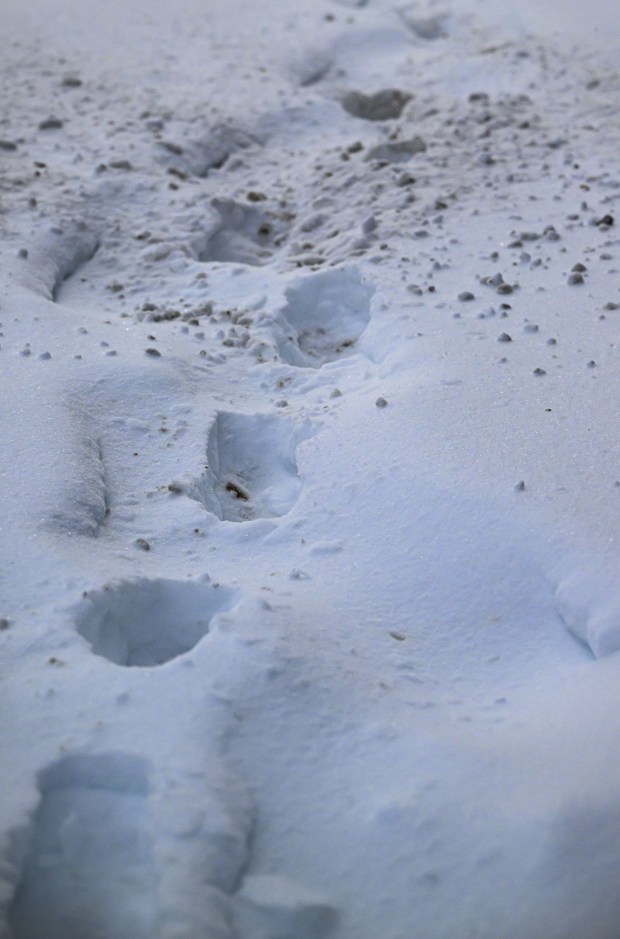 Deep boot tracks in the snow are seen Monday, Jan. 26, 2026, in Bethlehem after Sunday's storm that dropped more than a foot of snow in some parts of the Lehigh Valley. (April Gamiz/The Morning Call)