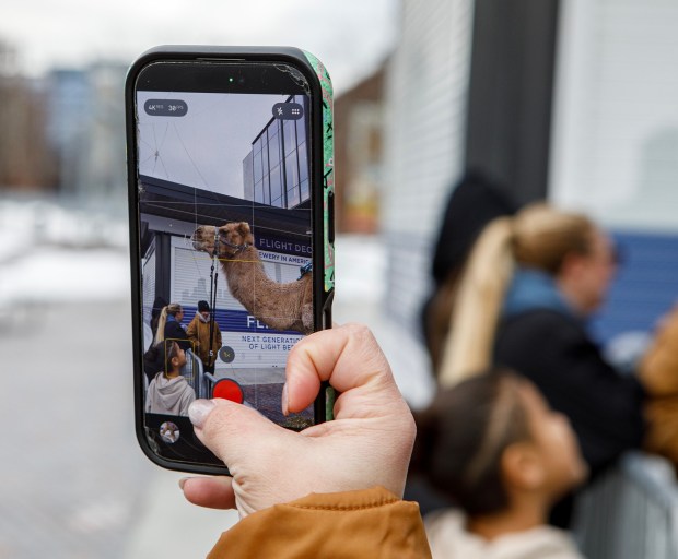 People take photos of Einstein the camel during the 14th annual Three Kings Celebration on Sunday, Jan. 4, 2026, at SteelStacks in Bethlehem. (Jane Therese/Special to The Morning Call)