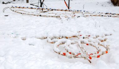 Man, three juveniles charged in Lights in the Parkway vandalism