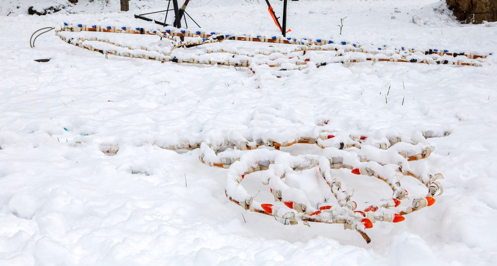 Man, three juveniles charged in Lights in the Parkway vandalism