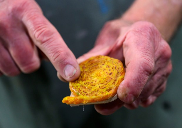 An experimental art tile that uses encaustic painting technique Tuesday, Jan. 6, 2026, created by Dave Jacoby of Bethlehem Township as part of an idea he had years ago that he calls WOA! (World of art!). Jacoby leaves the tiles in various place to cheer up people at a time when there is fear, anger and sadness in the world. He started a Facebook page and gives the tiles to people, asking them to spread the art and upload a photo and a post about where it was placed. (April Gamiz / The Morning Call)