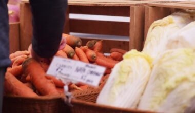 Things to do this weekend in the Lehigh Valley