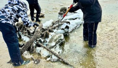 Seiche uncovers hidden treasures in Lake Erie