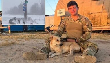 National Guardsman, 22, killed in multi-car crash on Pennsylvania highway during whiteout conditions