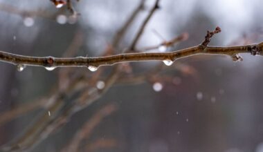 Central Pa. will feel temperatures this week above normal for January