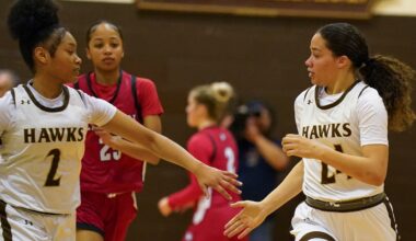 Lewis has career night to lead Bethlehem Catholic girls basketball to win over Emmaus