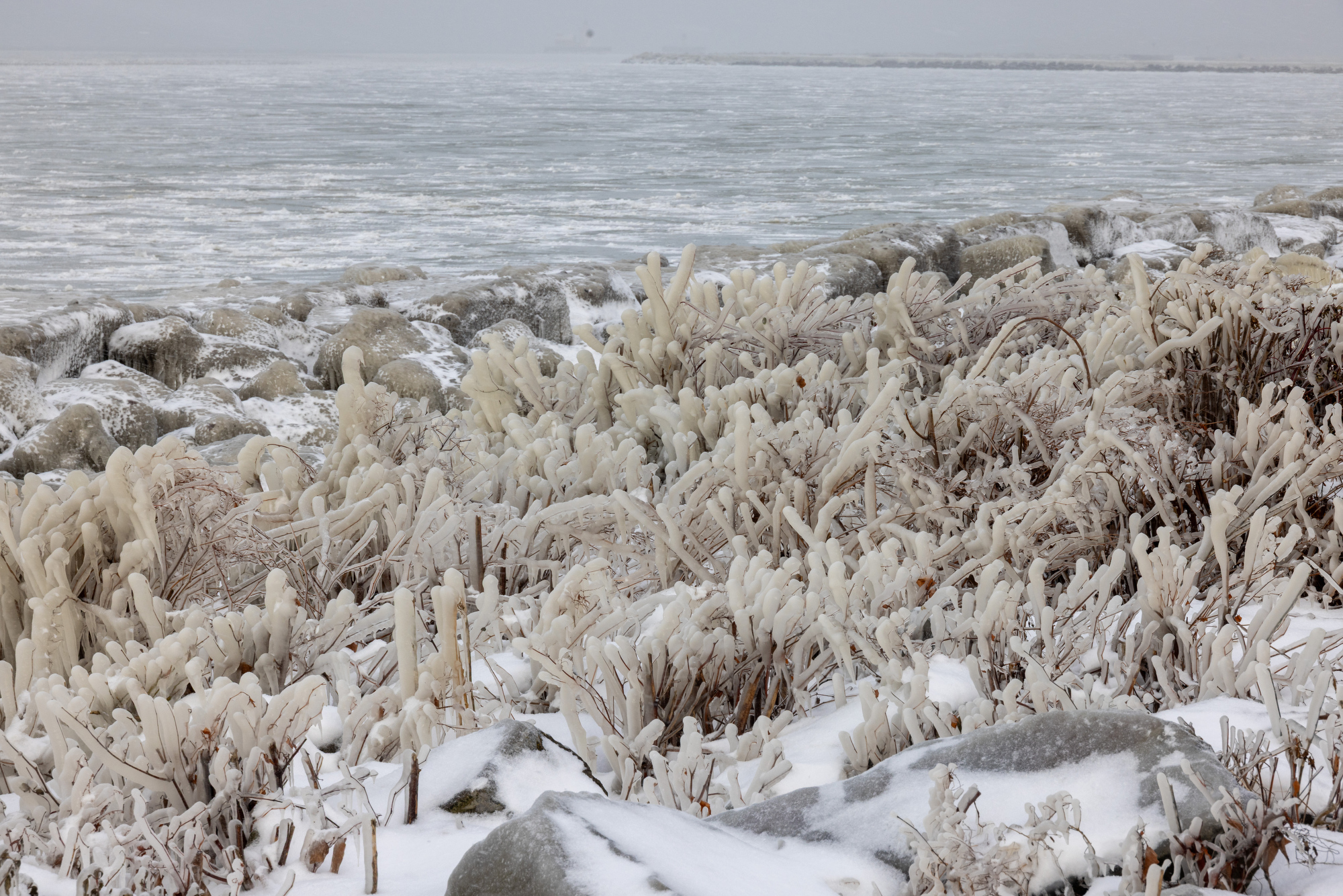 beautiful ice sculptures along the lake erie shoreline