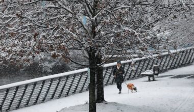 A pedestrian walks a dog on the snow filled Race Street Pier last month. Snow has been mighty scarce so far this month. Could that change?