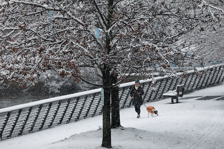 A pedestrian walks a dog on the snow filled Race Street Pier last month. Snow has been mighty scarce so far this month. Could that change?