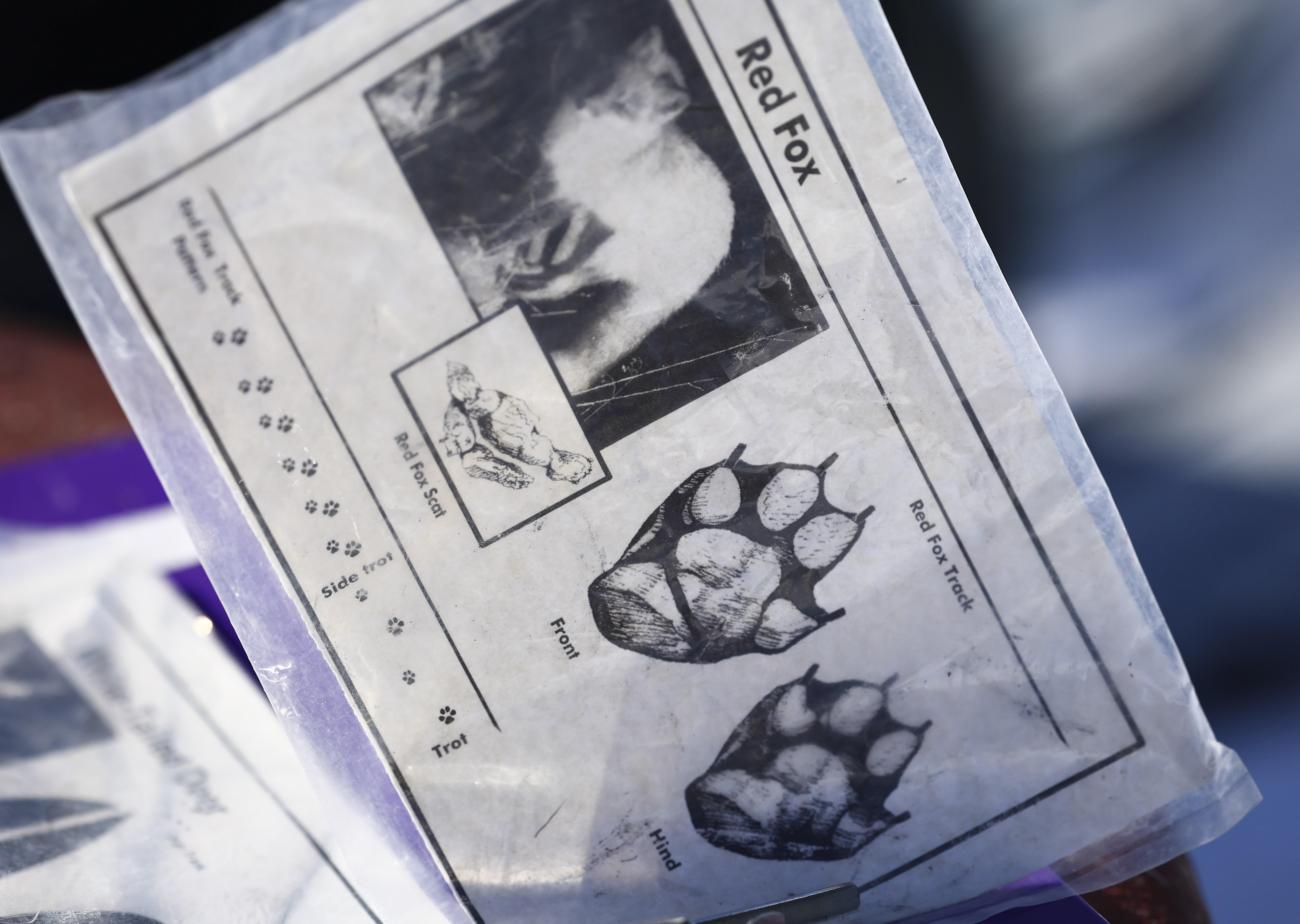 The Wildlands Conservancy put on display how to identify animal tracks before setting out on a Winter Wildlife Snowshoe excursion Wednesday, Jan. 28, 2026, through Janet Johnston Housenick and William D. Housenick Memorial Park and Archibald Johnston Conservation Area in Bethlehem Township.