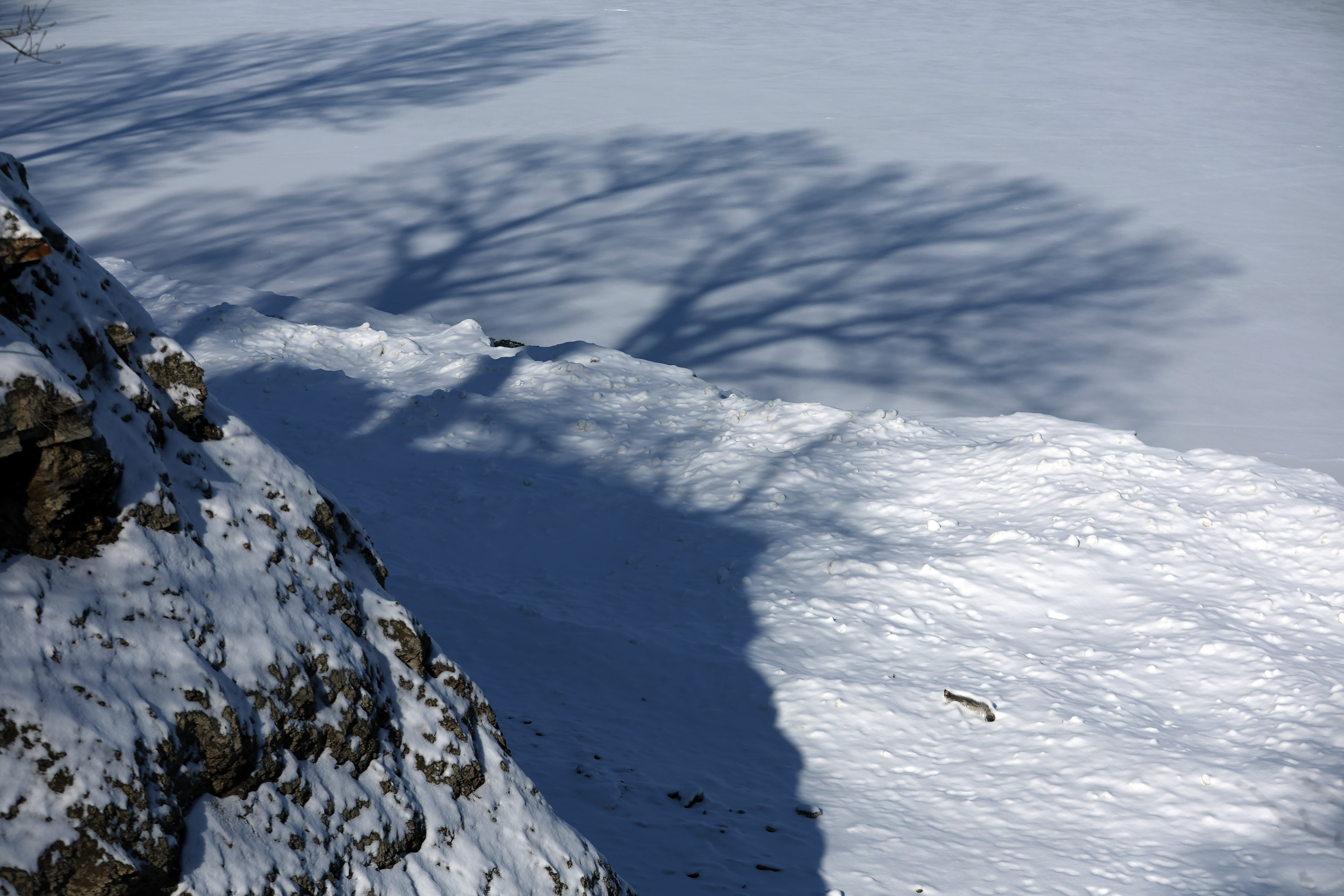 Winter ice formations along the shore of Lake Erie