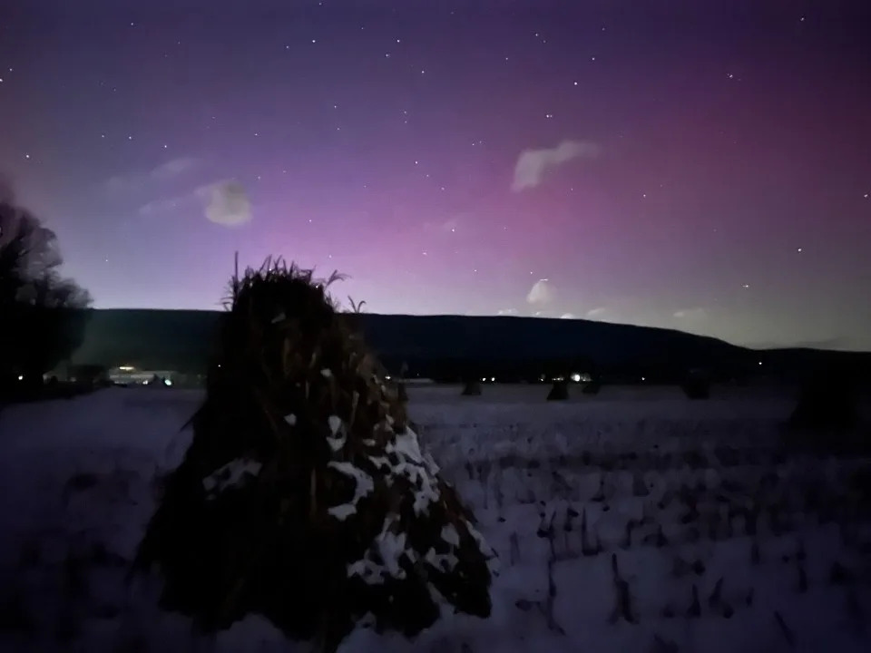 Northern lights shine above Reedsville, Pennsylvania, on Monday, Jan. 19, 2025. | Megan Diemert