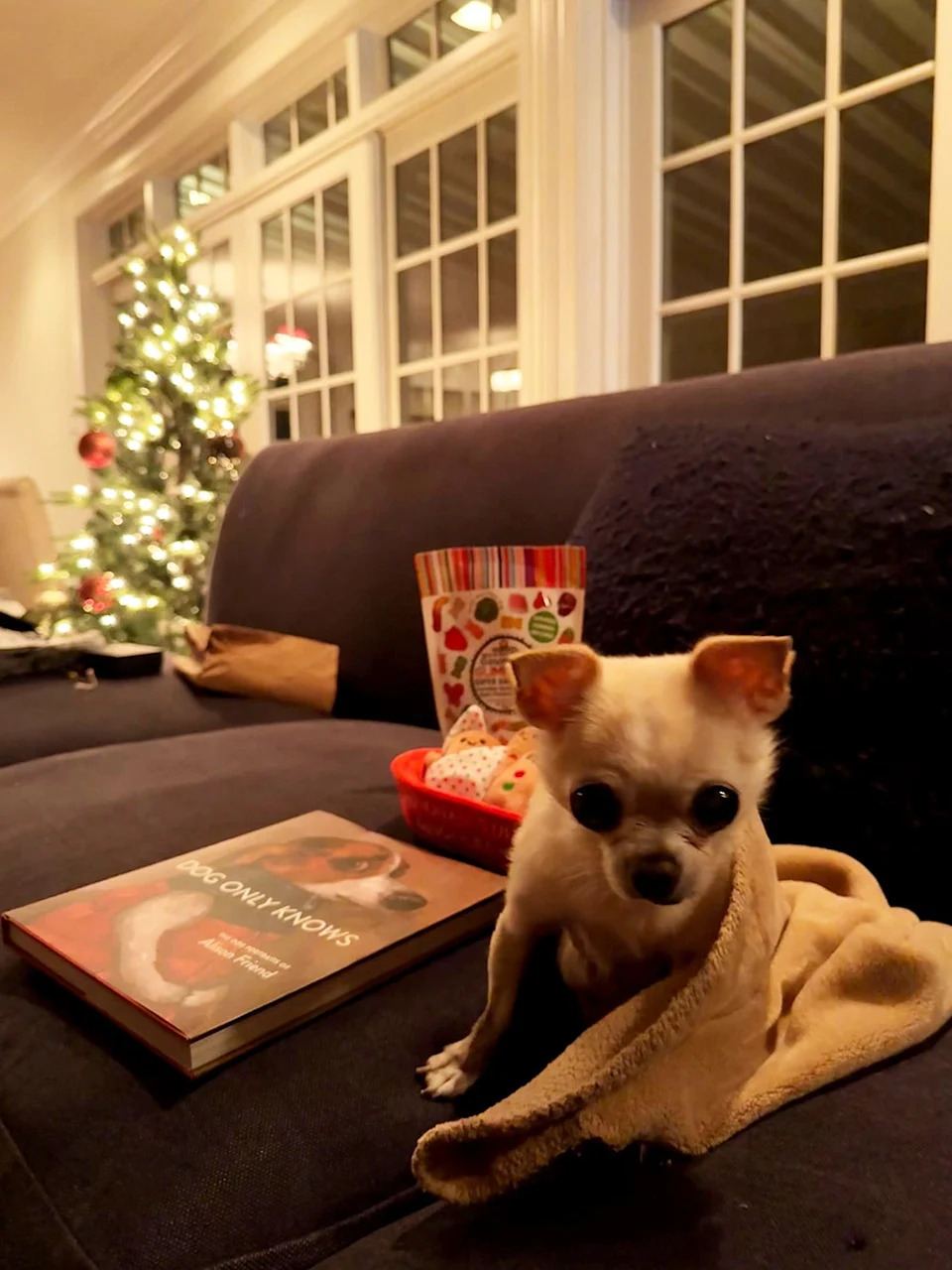 Bubbles next to a blanket and book