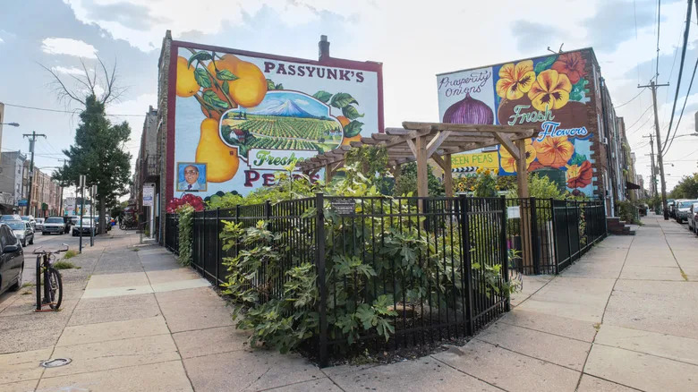 Murals of fruit and flowers behind enclosed garden in a corner lot in Passyunk, Philadelphia