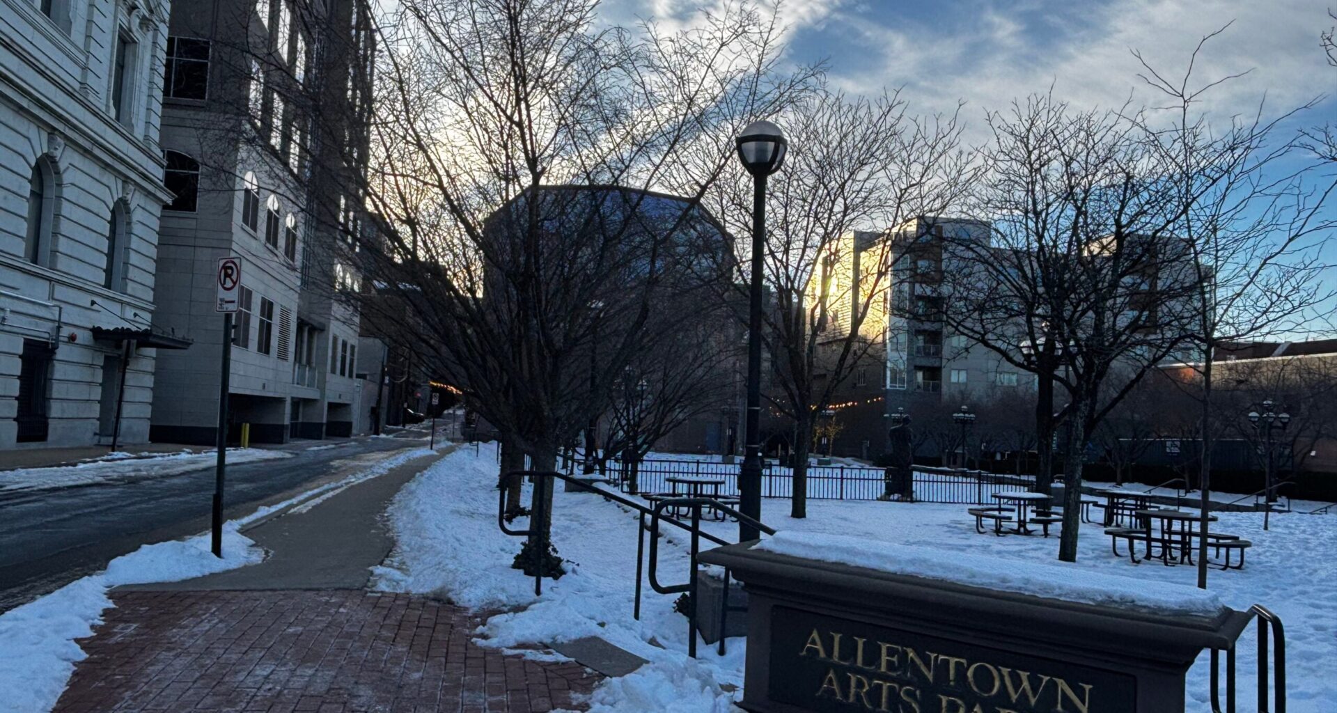 allentown arts park tree plan 2026