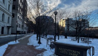 allentown arts park tree plan 2026