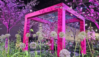 Philadelphia Flower Show returns in 2026 with ‘Rooted’ theme