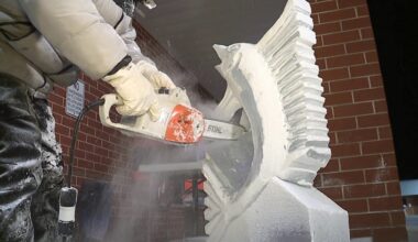 The Clarks Summit Festival of Ice celebrates 'The American Dream' with live carvings this weekend