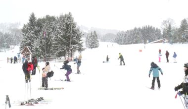 Amid blast of winter, some endure and others embrace