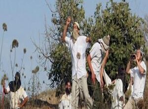 Colonists attack Palestinian homes in Khalayel al-Lawz area, south of Bethlehem