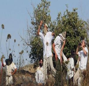 Colonists attack Palestinian homes in Khalayel al-Lawz area, south of Bethlehem