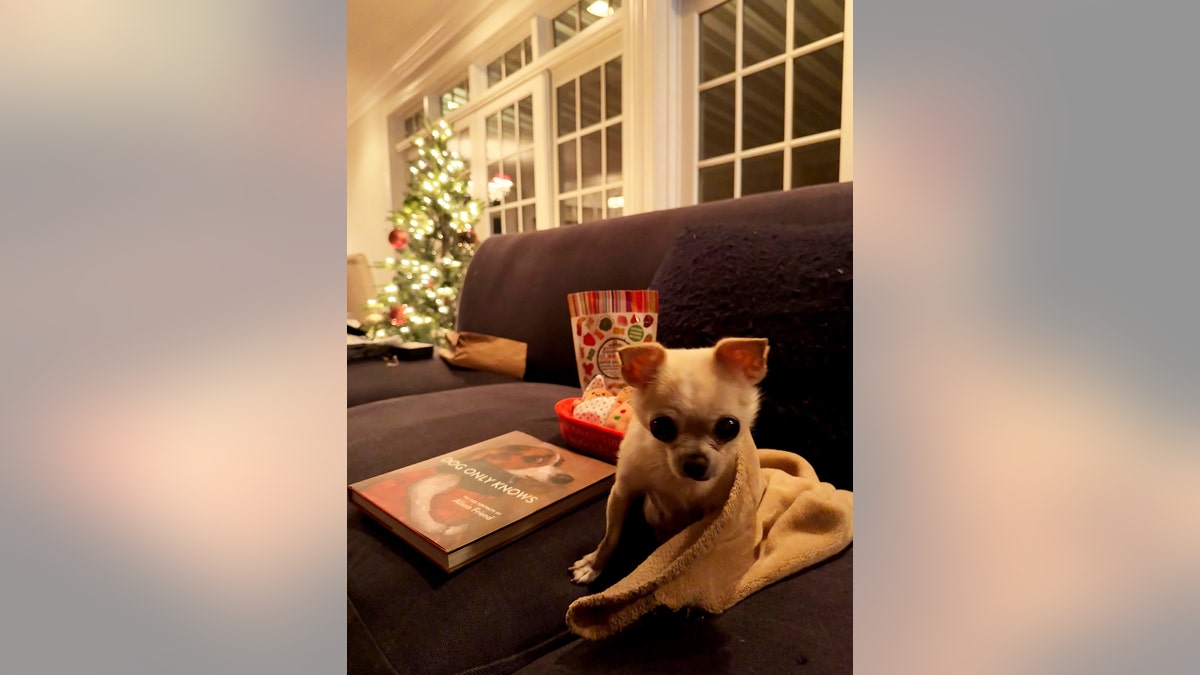 Bubbles next to a blanket and book
