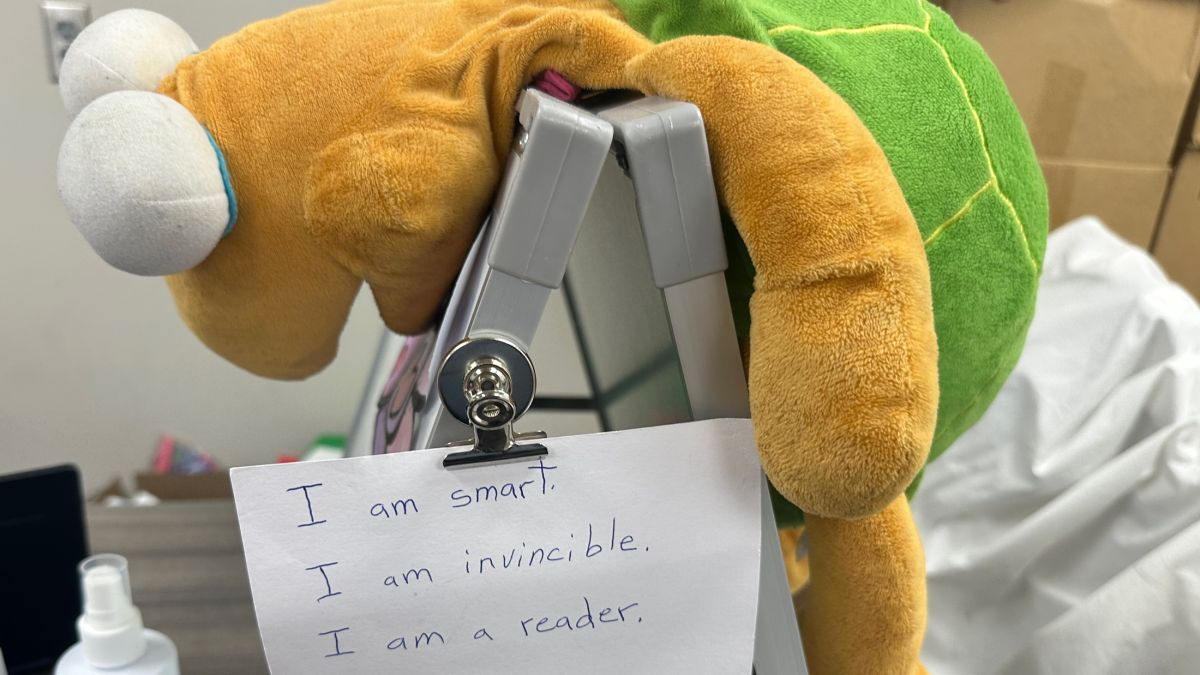 Follow us on Twitter