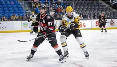 Penguins fall to Senators in overtime