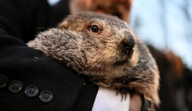 Yahoo lifestyle home