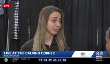 Pennsylvania Farm Show offers interactive farming experiences at the Calving Corner