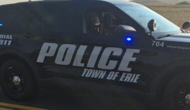 Two arrested, facing animal cruelty charges after 18 dogs seized at Colorado home