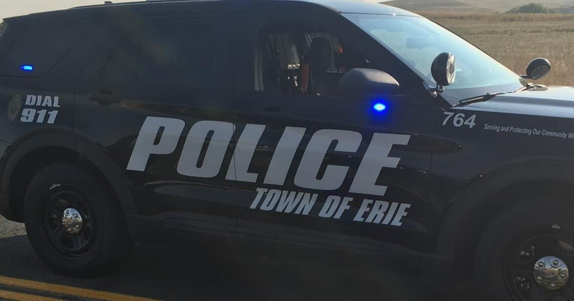 Two arrested, facing animal cruelty charges after 18 dogs seized at Colorado home