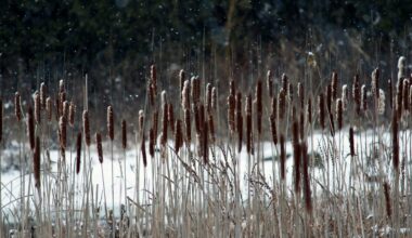 Join Berks County Parks & Recreation for February 2026 in the Parks