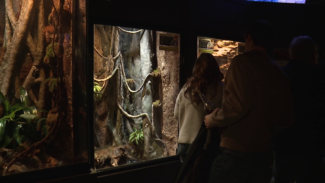 Conservation efforts make a splash at Winter Wine Under the Waves