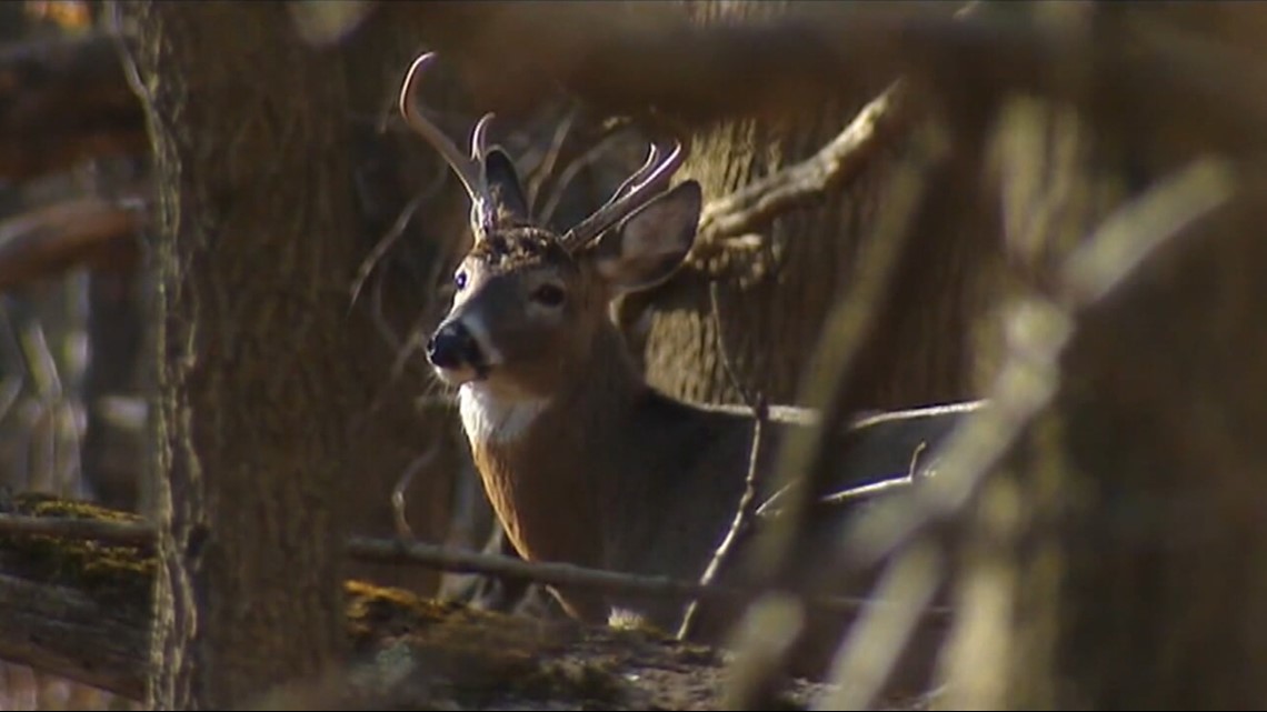 Pa. Board of Game Commissioners will consider change to start of firearms deer season at meeting next week