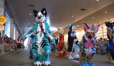 Saxonburg nonprofit J&J Farms Animal Sanctuary selected as 2026 Anthrocon charity