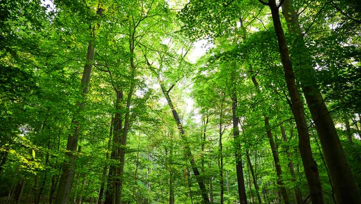 Hunter accidentally shoots man with arrow in Cheltenham Township