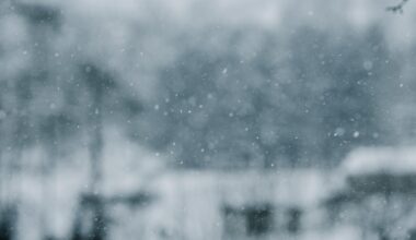 Sunday is Pittsburgh's snowiest day in nearly 16 years