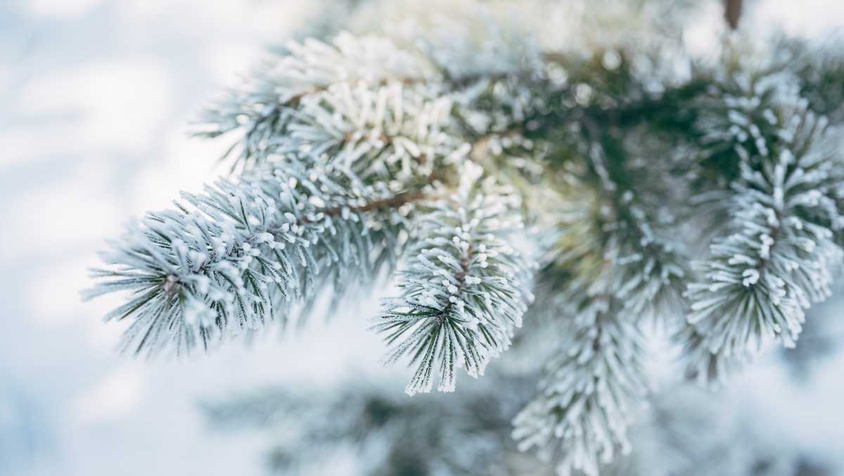 Allegheny County, Pittsburgh deploy trucks ahead of snowfall