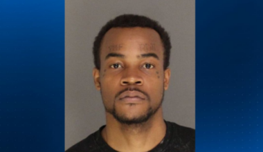 Fugitive who pleaded guilty to animal cruelty found in crawlspace, arrested in East Pittsburgh – WPXI