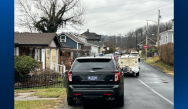 2 people attacked by their own dog in Allegheny County hospitalized with life-threatening injuries – WPXI