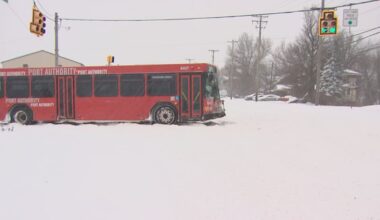 Some buses running with delays; T service operating as normal – WPXI