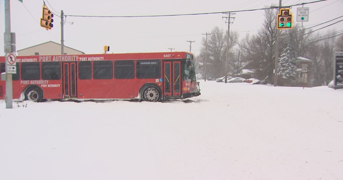 Some buses running with delays; T service operating as normal – WPXI