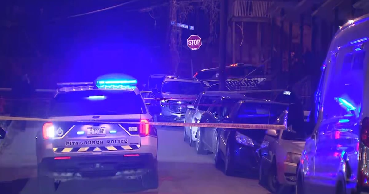 Woman shot in Hazelwood, 2 houses hit by bullets