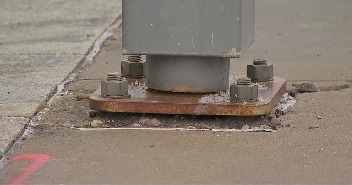 Woman, dog electrically shocked while on run in Pittsburgh