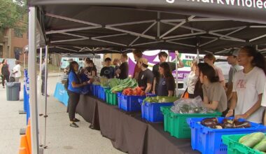 Highmark Wholecare expects to help 10,000 families through Farm-to-Family program in 2026 – WPXI